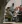 Adobe Stock 629227837